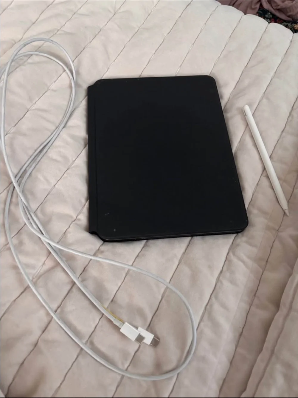 IPad Pro (11inch) (3rd generation) with Magic Keyboard, Apple Pencil, and charge